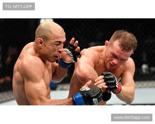 UFC终极格斗冠军赛最新直播录像全程高清回放 UFC终极格斗冠军赛最新直播录像全程高清回放